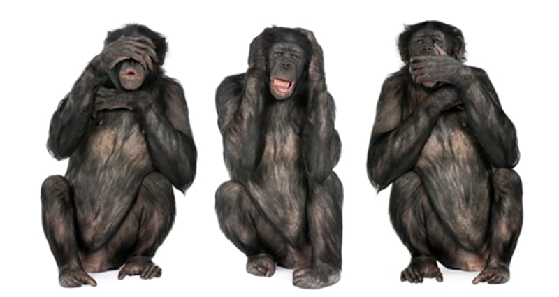 3 apes: see, hear, speak no evil