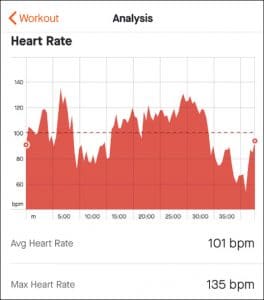 heart rate chart